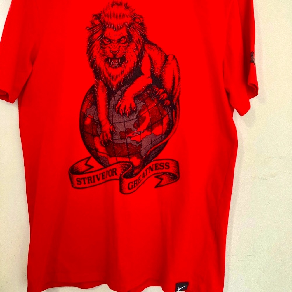 Nike Lebron James tee